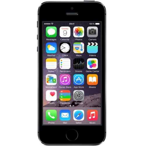 Apple iPhone 5s  16Gb Space Gray